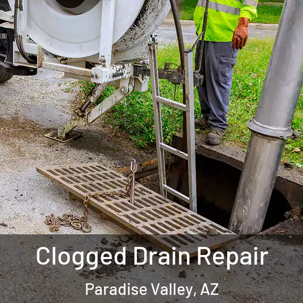  Clogged Drain Repair Paradise Valley, AZ