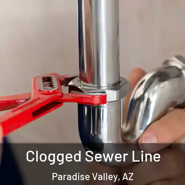  Clogged Sewer Line Paradise Valley, AZ