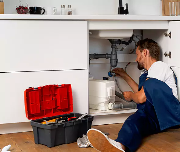 Trusted Plumber for Polybutylene Plumbing Replacement in Paradise Valley, AZ: Schedule Reliable Replacement Services with Us
