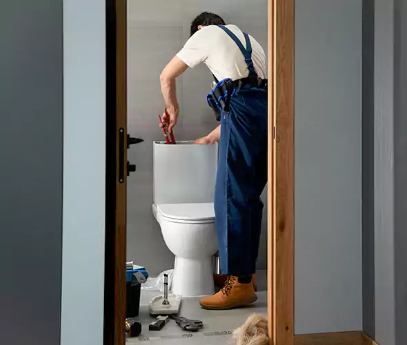 Professional Plumbers for Toilet Bowl Replacement in Paradise Valley, AZ: Schedule Affordable Toilet Replacement Services With Us