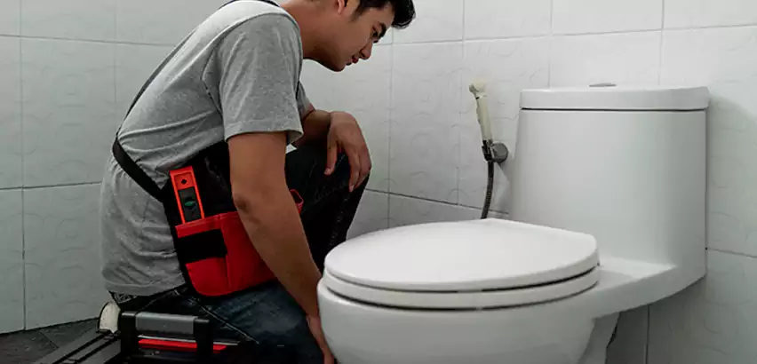 Toilet Repair in Paradise Valley