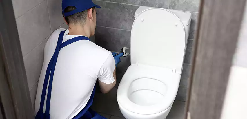 Toilet Lid Replacement in Paradise Valley