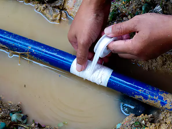  Why Choose Mclouth Plumbing for Leak Detection in Paradise Valley, AZ?]