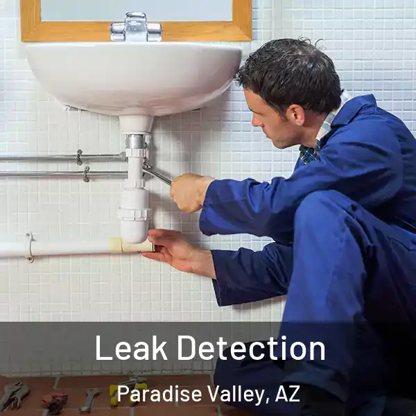  Leak Detection Paradise Valley, AZ