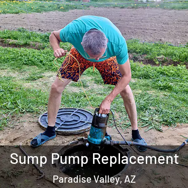  Sump Pump Replacement Paradise Valley, AZ