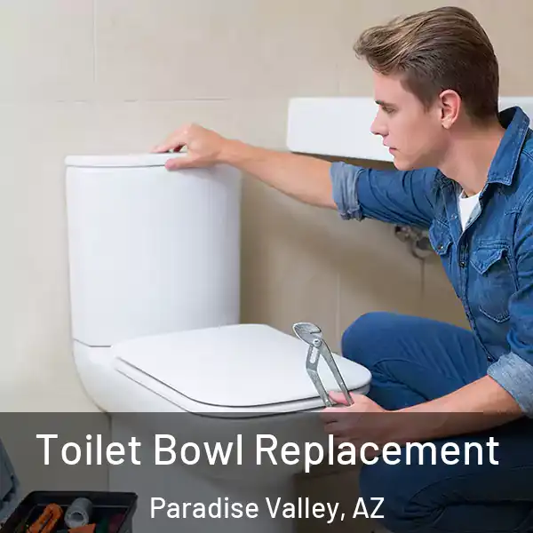  Toilet Bowl Replacement Paradise Valley, AZ