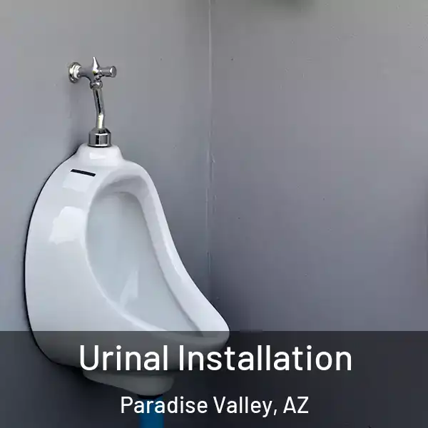  Urinal Installation Paradise Valley, AZ