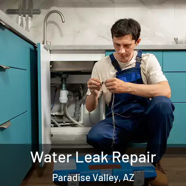  Water Leak Repair Paradise Valley, AZ